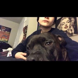 Meet your Posher, Declam